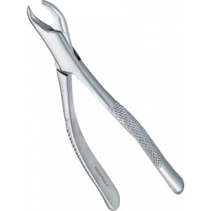 Extracting Forceps Adults 